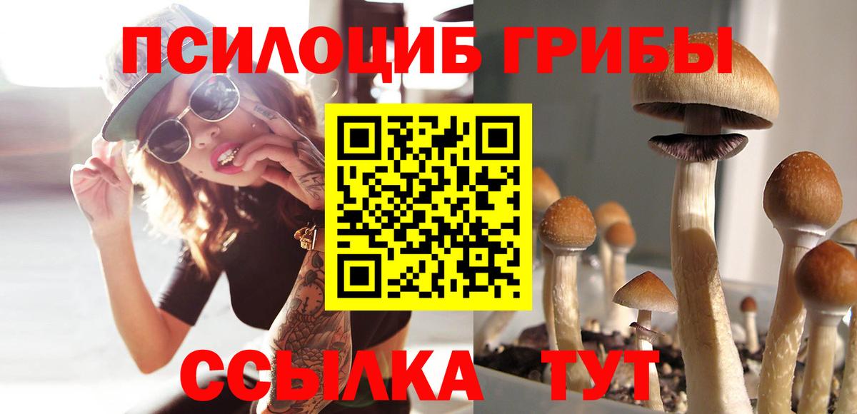 дарнет шоп  Вход с VPN  Муром  Галлюциногенные грибы MAGIC MUSHROOMS 
